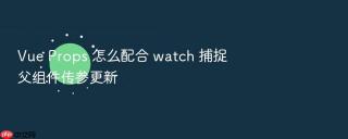vue props 怎么配合 watch 捕捉父组件传参更新