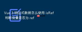 Vue 3 响应式数据怎么使用 isRef 判断变量是否为 ref