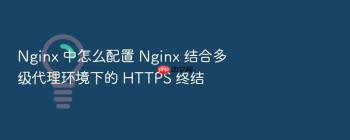 Nginx 中怎么配置 Nginx 结合多级代理环境下的 HTTPS 终结
