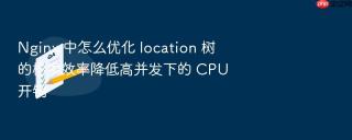 Nginx 中怎么优化 location 树的检索效率降低高并发下的 CPU 开销