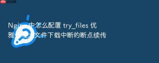 Nginx 中怎么配置 try_files 优雅处理大文件下载中断的断点续传