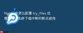 nginx 中怎么配置 try_files 优雅处理大文件下载中断的断点续传
