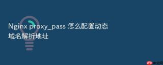 Nginx proxy_pass 怎么配置动态域名解析地址