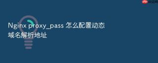 nginx proxy_pass 怎么配置动态域名解析地址