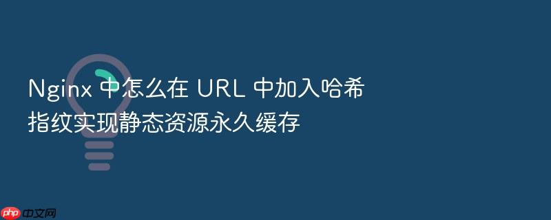 nginx 中怎么在 url 中加入哈希指纹实现静态资源永久缓存