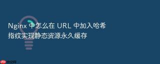 nginx 中怎么在 url 中加入哈希指纹实现静态资源永久缓存