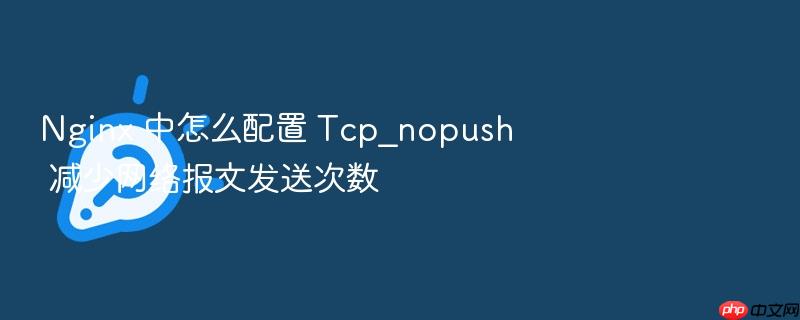 nginx 中怎么配置 tcp_nopush 减少网络报文发送次数