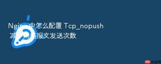 nginx 中怎么配置 tcp_nopush 减少网络报文发送次数