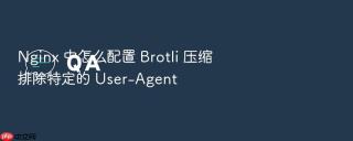 Nginx 中怎么配置 Brotli 压缩排除特定的 User-Agent
