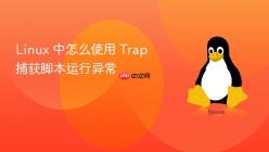 Linux 中怎么使用 Trap 捕获脚本运行异常