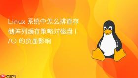 linux 系统中怎么排查存储阵列缓存策略对磁盘 i/o 的负面影响