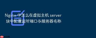 nginx 中怎么在虚拟主机 server 块中配置监听端口与服务器名称