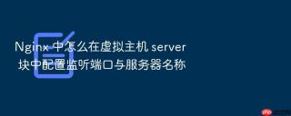 Nginx 中怎么在虚拟主机 server 块中配置监听端口与服务器名称