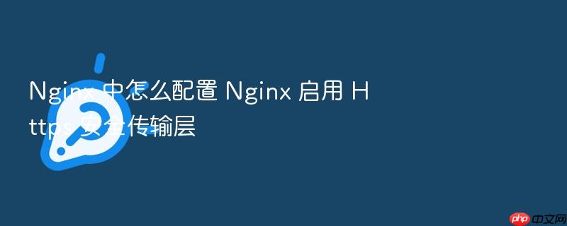nginx 中怎么配置 nginx 启用 https 安全传输层