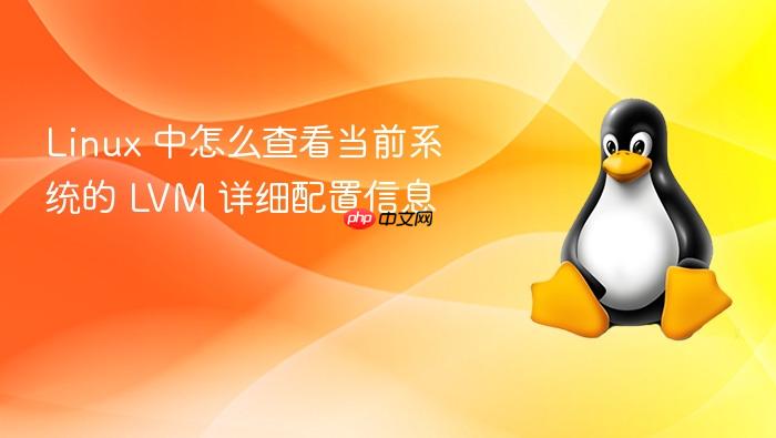 linux 中怎么查看当前系统的 lvm 详细配置信息