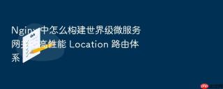 Nginx 中怎么构建世界级微服务网关的高性能 Location 路由体系