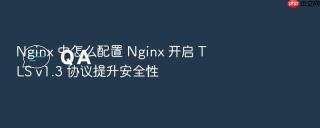 Nginx 中怎么配置 Nginx 开启 TLS v1.3 协议提升安全性