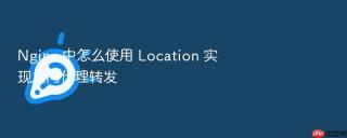 nginx 中怎么使用 location 实现反向代理转发
