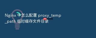 nginx 中怎么配置 proxy_temp_path 临时缓存文件目录