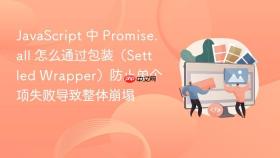 javascript 中 promise.all 怎么通过包装(settled wrapper)防止单个项失败导致整体崩塌
