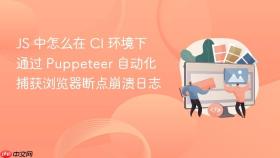 js 中怎么在 ci 环境下通过 puppeteer 自动化捕获浏览器断点崩溃日志
