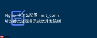 Nginx 中怎么配置 limit_conn 针对静态资源目录放宽并发限制