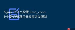 nginx 中怎么配置 limit_conn 针对静态资源目录放宽并发限制