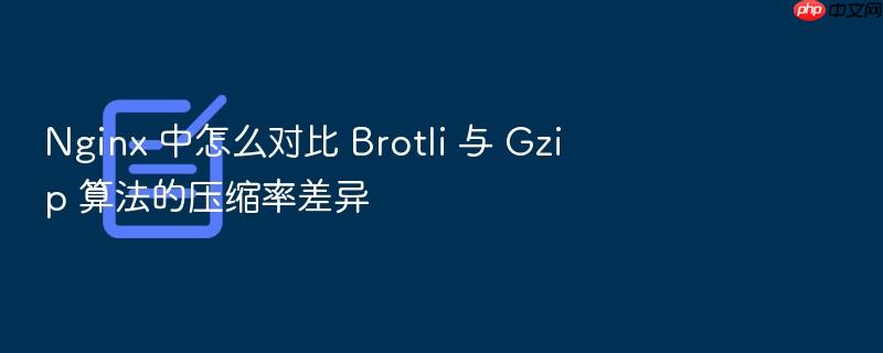 nginx 中怎么对比 brotli 与 gzip 算法的压缩率差异
