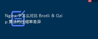 nginx 中怎么对比 brotli 与 gzip 算法的压缩率差异