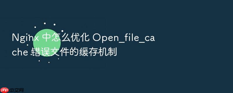 nginx 中怎么优化 open_file_cache 错误文件的缓存机制