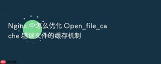 nginx 中怎么优化 open_file_cache 错误文件的缓存机制