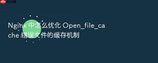 Nginx 中怎么优化 Open_file_cache 错误文件的缓存机制