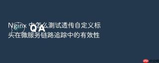 nginx 中怎么测试透传自定义标头在微服务链路追踪中的有效性