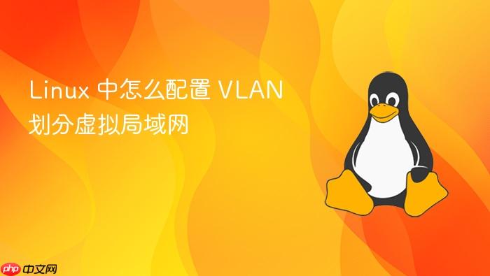 linux 中怎么配置 vlan 划分虚拟局域网