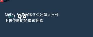 nginx 故障转移怎么处理大文件上传中断时的重试策略