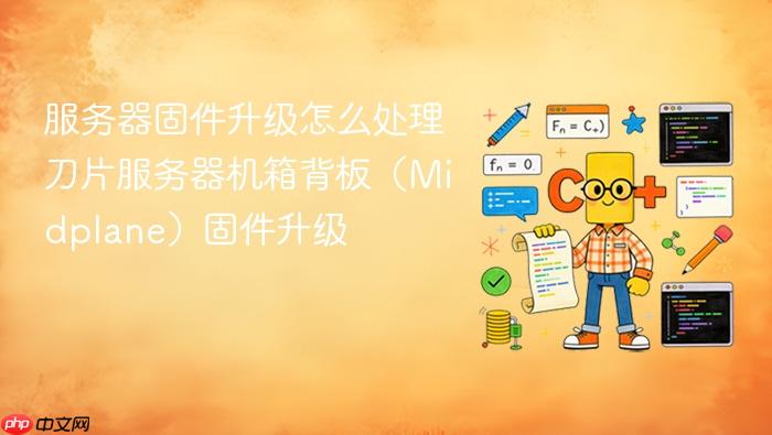 服务器固件升级怎么处理刀片服务器机箱背板(midplane)固件升级