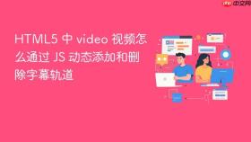 html5 中 video 视频怎么通过 js 动态添加和删除字幕轨道