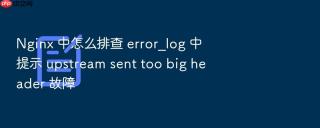 nginx 中怎么排查 error_log 中提示 upstream sent too big header 故障