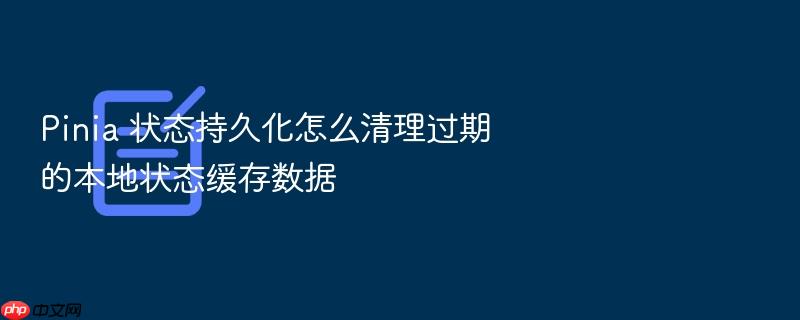 pinia 状态持久化怎么清理过期的本地状态缓存数据