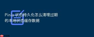 pinia 状态持久化怎么清理过期的本地状态缓存数据