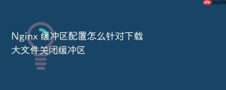 nginx 缓冲区配置怎么针对下载大文件关闭缓冲区