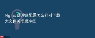 Nginx 缓冲区配置怎么针对下载大文件关闭缓冲区