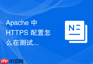 apache 中 https 配置怎么在测试环境中配置临时自签名证书跳过验证