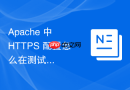 Apache 中 HTTPS 配置怎么在测试环境中配置临时自签名证书跳过验证
