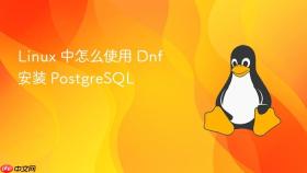 Linux 中怎么使用 Dnf 安装 PostgreSQL