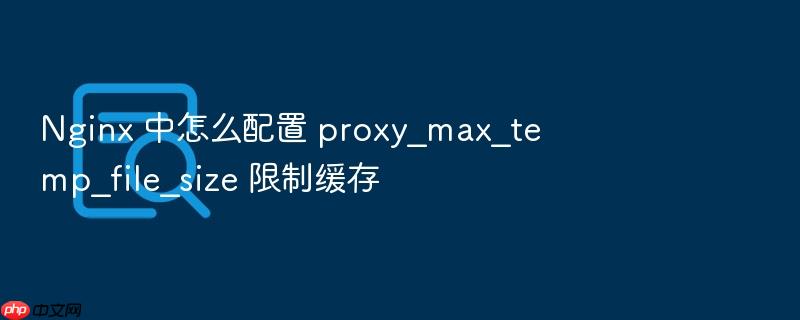 nginx 中怎么配置 proxy_max_temp_file_size 限制缓存