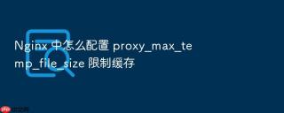 nginx 中怎么配置 proxy_max_temp_file_size 限制缓存