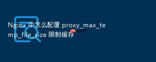 Nginx 中怎么配置 proxy_max_temp_file_size 限制缓存