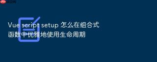 Vue script setup 怎么在组合式函数中优雅地使用生命周期