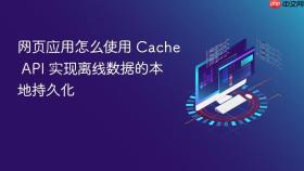 网页应用怎么使用 cache api 实现离线数据的本地持久化